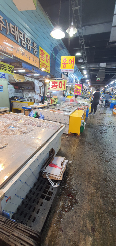11일 서울 송파구 가락동농수산물시장 내 수산시장 전경. 사진= 김수연 기자